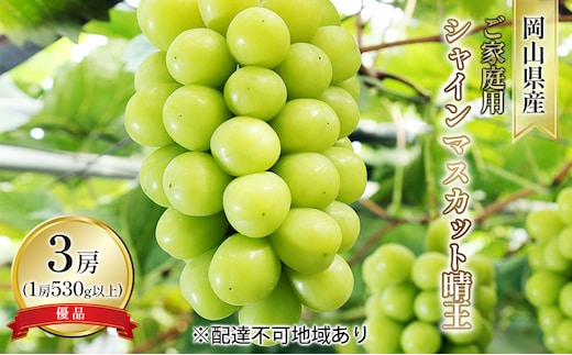 ぶどう 2026年 先行予約 ご家庭用 シャイン マスカット 晴王 優品 3房入り（1房 530g以上 露地栽培） ブドウ 葡萄 岡山県産 国産 フルーツ 果物 