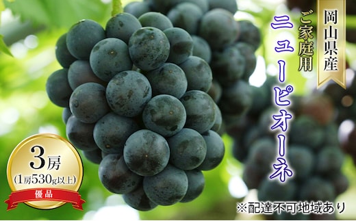 ぶどう 2026年 先行予約 ご家庭用 ニュー ピオーネ 優品 3房入り（1房 530g以上 露地栽培） ブドウ 葡萄 岡山県産 国産 フルーツ 果物 
