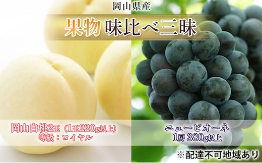 桃 ぶどう 2026年 先行予約 果物 味比べ三昧 岡山 白桃 2玉 等級：ロイヤル（1玉220g以上）ニュー ピオーネ 1房 380g以上 詰合せ もも 葡萄 岡山県産 国産 フルーツ 果物 ギフト 
