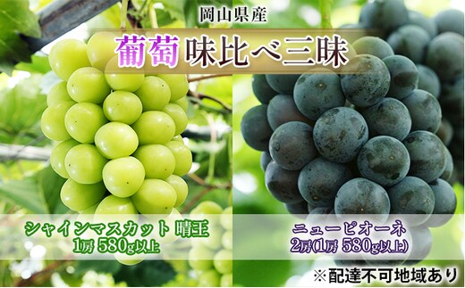 ぶどう 2026年 先行予約 葡萄 味比べ三昧 シャイン マスカット 晴王 1房 580g以上 ニュー ピオーネ 2房（1房 580g以上）（露地栽培）詰合せ ブドウ 葡萄 岡山県産 国産 フルーツ 果物 ギフト 