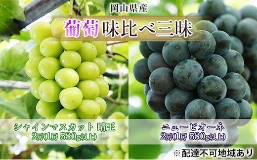 ぶどう 2026年 先行予約 葡萄 味比べ三昧 シャイン マスカット 晴王 2房（1房 580g以上）ニュー ピオーネ 2房（1房 580g以上）（露地栽培）詰合せ ブドウ 葡萄 岡山県産 国産 フルーツ 果物 ギフト 