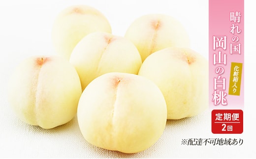 桃 定期便 2026年 先行予約 晴れの国 岡山 の 白桃 ×2回 お届け 1回目 白桃 6玉（1玉250g以上）／2回目 白桃 6玉（1玉300g以上） 化粧箱入り もも モモ 岡山産 国産 フルーツ 果物 ギフト 