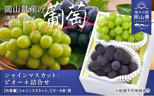 ぶどう 2026年 先行予約 果物 詰合せ シャイン マスカット 1房 ニュー ピオーネ 1房 合計約1.0kg ブドウ 葡萄 岡山県産 国産 フルーツ 果物 ギフト