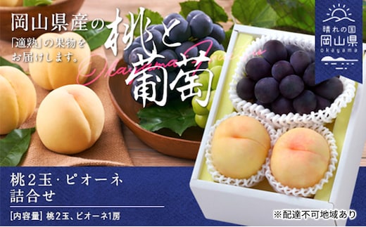 桃 ぶどう 2026年 先行予約 果物 詰合せ 白桃 晩生種 2玉 ニュー ピオーネ 1房 合計約1.0kg もも 葡萄 岡山県産 国産 フルーツ 果物 ギフト