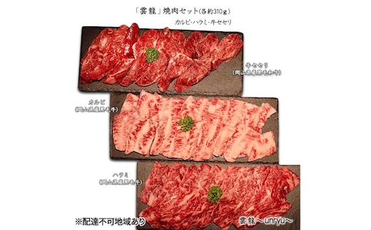 黒毛和牛 焼肉 セット 合計約930g カルビ ハラミ 牛セセリ【雲龍焼肉たれ付】 雲龍 岡山県産 肉 お肉 牛肉 和牛 牛カルビ 牛ハラミ せせり 焼肉セット 焼き肉 3種 