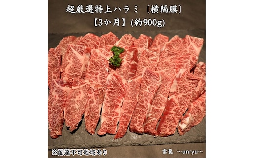 定期便 3ヶ月 厳選 特上 ハラミ (横隔膜) 各回合計約900g【雲龍焼肉たれ付】 雲龍 岡山県産 肉 お肉 牛肉 和牛 焼肉 牛ハラミ 3回 お楽しみ 