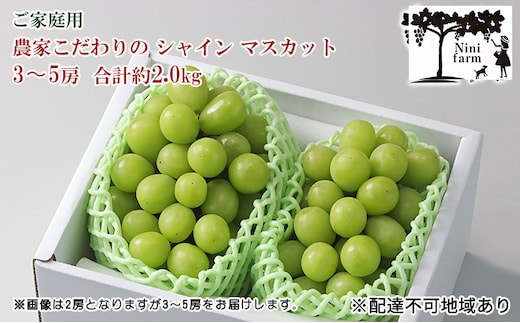 ぶどう 2026年 先行予約 【平均糖度20度】 ご家庭用 農家こだわりの シャイン マスカット 3～5房 合計約2.0kg ブドウ 葡萄 岡山県産 国産 フルーツ 果物 【 Nini farm 農家 直送 】 岡山のぶどう デザート