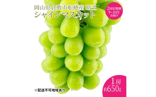 ぶどう 2026年度分 先行予約 【プレミアムシャインマスカット 晴王 1房 約650g 定期便 2回】船穂産 赤秀品以上 岡山県産 葡萄 ブドウ ギフト ハレノフルーツ 皮ごと食べる みずみずしい 