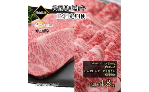 黒毛和牛 定期便 12回発送 サーロインステーキ 約400g ×6回 しゃぶしゃぶ すき焼き 用 約400g ×6回 合計 約4.8kg A4等級 以上 牛脂付き サーロイン 美星牛 美星牧場 岡山 