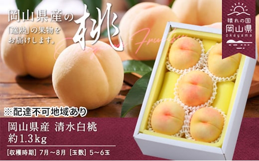 桃 2026年 先行予約 清水白桃 約1.3kg 5～6玉 もも モモ 岡山県産 国産 フルーツ 果物 ギフト