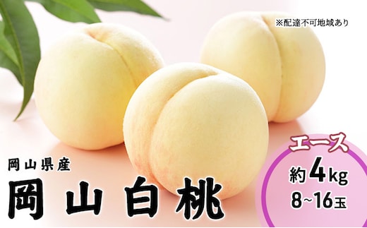 桃 2026年 先行予約 岡山 白桃 エース 8～16玉 4.0kg 岡山県産 JAおかやまのもも モモ 岡山県産 国産 フルーツ 果物 ギフト 