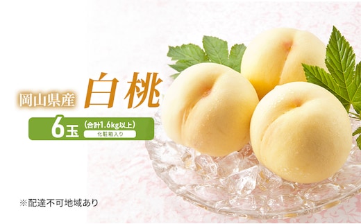 桃 2026年 先行予約 白桃 6玉 (1.6kg以上) 化粧箱入り もも モモ 岡山県産 国産 フルーツ 果物 セット ギフト 