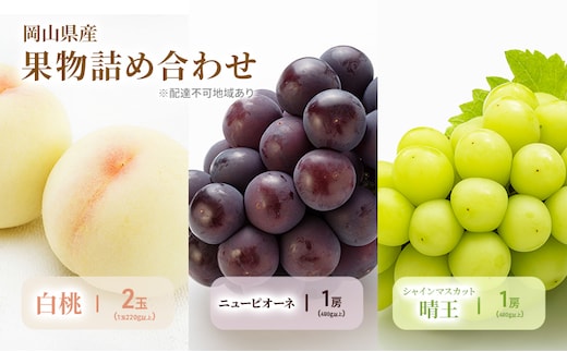 もも ぶどう 2026年 先行予約 詰合/白桃 2玉(1玉220g以上)・ニューピオーネ1房(480g以上)・シャインマスカット晴王 1房(480g以上) 化粧箱入り 岡山県産 国産 フルーツ 果物 ギフト 