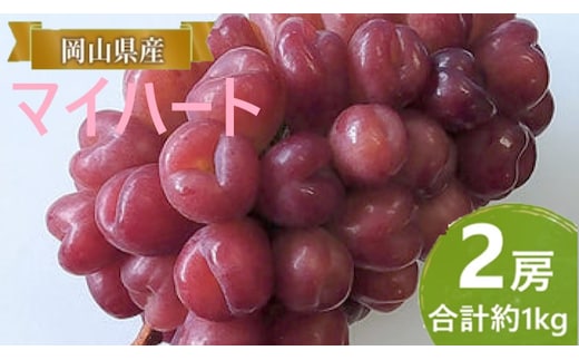 ぶどう 【2026年 早期受付】 マイハート 2房 合計約1kg ブドウ 葡萄 岡山県産 国産 フルーツ 果物 ギフト