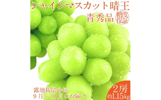 2026年 先行予約シャインマスカット 晴王 2房約1.15kg 9月～10月出荷/ 岡山県産 種無し 皮ごと食べる みずみずしい フレッシュ 晴れの国 おかやま 果物大国 彩美菜果