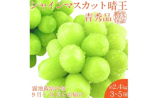 2026年 先行予約シャインマスカット 晴王 約2.4kg(3～5房) 9月～10月出荷/ 岡山県産 種無し 皮ごと食べる みずみずしい フレッシュ 晴れの国 おかやま 果物大国 彩美菜果
