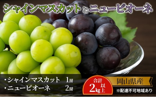ぶどう 【2026年 先行予約】 シャインマスカット 1房 ニュー ピオーネ 2房 合計2kg以上 マスカット ブドウ 葡萄 岡山県産 国産 フルーツ 果物 ギフト