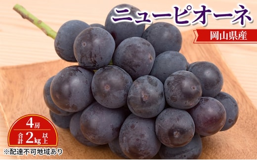 ぶどう 【2026年 先行予約】 ニュー ピオーネ 4房 合計2kg以上 ブドウ 葡萄 岡山県産 国産 フルーツ 果物 ギフト