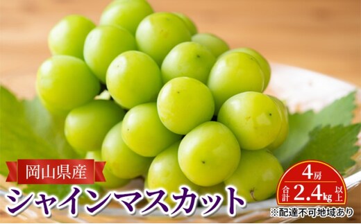 ぶどう 【2026年 先行予約】 シャインマスカット 4房 合計2.4kg以上 マスカット ブドウ 葡萄 岡山県産 国産 フルーツ 果物 ギフト
