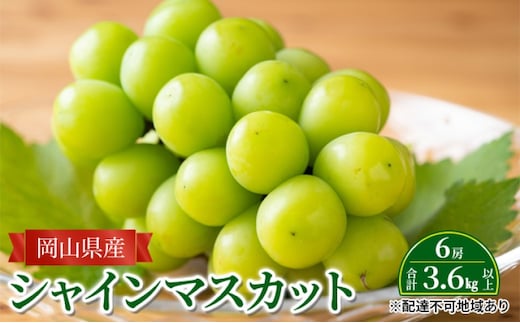 ぶどう 【2026年 先行予約】 シャインマスカット 6房 合計3.6kg以上 マスカット ブドウ 葡萄 岡山県産 国産 フルーツ 果物 ギフト