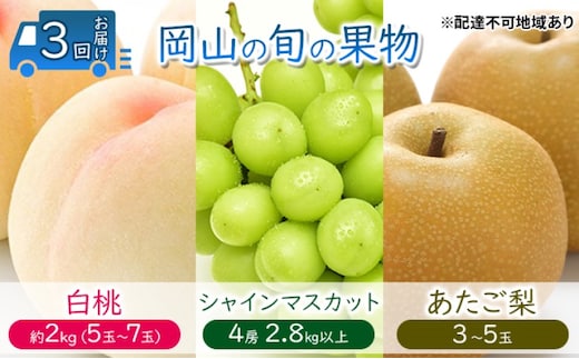 フルーツ 定期便 【2026年 先行予約】 桃 ぶどう 梨 3回お届け 白桃 約2kg入り（5玉～7玉） シャインマスカット 4房2.8kg以上 あたご梨 (3～6玉) 岡山県産 国産 セット ギフト