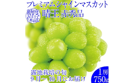 2026年予約受付中 プレミアムシャインマスカット晴王 1房約750g 人気 岡山県産 赤秀品 種無し 皮ごと食べる みずみずしい フレッシュ 晴れの国 おかやま 果物大国 ハレノフルーツ
