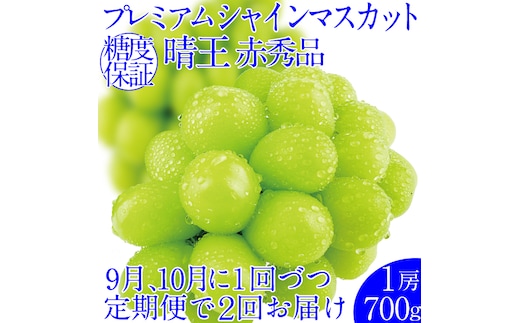 2026年予約受付中【2回定期便】 プレミアムシャインマスカット晴王 1房約700g/人気 岡山県産 赤秀品 種無し 皮ごと食べる みずみずしい 9月・10月にお届け ハレノフルーツ
