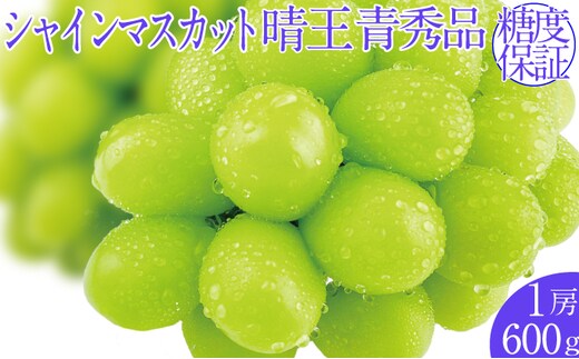 2026年予約受付中 シャインマスカット晴王 1房 約600g 7月～8月出荷 人気 岡山県産 種無し 皮ごと食べる みずみずしい フレッシュ 晴れの国 おかやま 果物大国 ハレノフルーツ