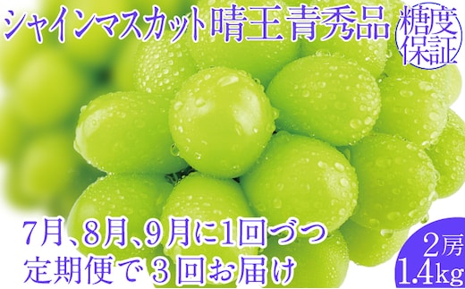 2026年予約受付中【3回定期便】シャインマスカット晴王 2房 約1.4kg 7月8月9月に出荷 人気 岡山県産 種無し 皮ごと食べる みずみずしい ハレノフルーツ
