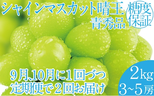 2026年 先行予約受付中【2回定期便】シャインマスカット晴王 約2k(3～5房) 岡山県産 種無し 皮ごと食べる みずみずしい 甘い フレッシュ 瀬戸内 晴れの国 おかやま 果物大国 ハレノフルーツ