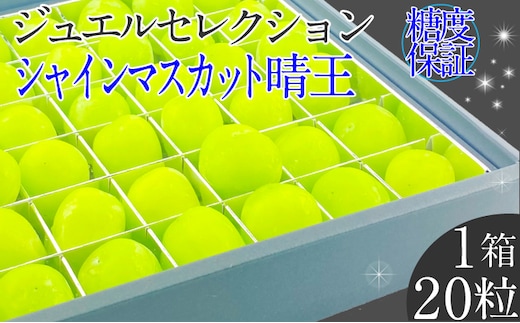 2026年 先行予約受付中 シャインマスカット晴王 ジュエルセレクション 1箱20粒 岡山県産 種無し 皮ごと食べる みずみずしい 甘い フレッシュ 瀬戸内 晴れの国 おかやま 果物大国 ハレノフルーツ