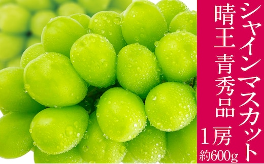 2026年予約受付中 シャインマスカット 晴王 7月～8月出荷 1房 約600g 人気 岡山県産 種無し 皮ごと食べる みずみずしい フレッシュ 晴れの国 おかやま 果物大国 ハレノフルーツ