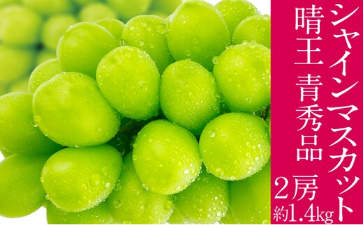 2026年予約受付中 シャインマスカット 晴王 7月～8月出荷 2房 約1.4kg 人気 岡山県産 種無し 皮ごと食べる みずみずしい フレッシュ 晴れの国 おかやま 果物大国 ハレノフルーツ