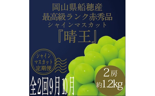 【定期便 全2回】ぶどう 2026年 先行予約 9月・10月発送 高級品 シャインマスカット 晴王 2房 合計約1.2kg ブドウ 葡萄 岡山県産 国産 フルーツ 果物 ギフト