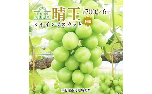 ぶどう 2026年 先行予約 シャイン マスカット 晴王 特選 6房（1房約700g）化粧箱入り 大粒 種無し ブドウ 葡萄 岡山県産 国産 フルーツ 果物 ギフト 橋田商店