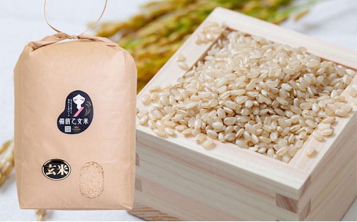 米 令和7年産 石原果樹園の備前乙女米 玄米 10kg×1袋 ※11月上旬～順次発送予定 ライス お米 ライス 乳酸菌栽培 岡山県 おにぎり お弁当