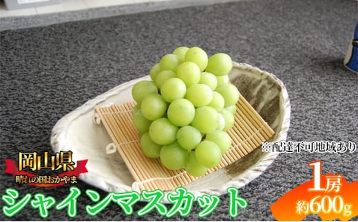ぶどう 2026年先行予約 シャインマスカット 1房 約600g 岡山県産 お届け 9月上旬～10月中旬