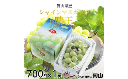 【2026年7月上旬より発送】岡山県産 シャインマスカット 晴王 700g×1房 ぶどう 葡萄 ブドウ フルーツ 果物