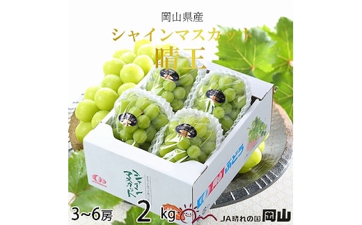 【2026年7月上旬より発送】岡山県産 シャインマスカット 晴王 2kg(3房～6房) ぶどう 葡萄 ブドウ フルーツ 果物
