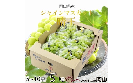【2026年7月上旬より発送】岡山県産 シャインマスカット 晴王 5kg(5房～10房) ぶどう 葡萄 ブドウ フルーツ 果物