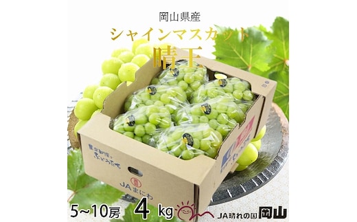 【2026年8月下旬より発送】岡山県産 シャインマスカット 晴王 4kg(5房～10房) ぶどう 葡萄 ブドウ フルーツ 果物