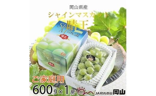 【2026年8月下旬より発送】ご家庭用 岡山県産 シャインマスカット 晴王 600g×1房 ぶどう 葡萄 ブドウ フルーツ 果物