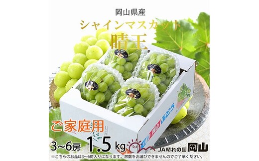 【2026年8月下旬より発送】ご家庭用 岡山県産 シャインマスカット 晴王 1.5kg(3～6房) ぶどう 葡萄 ブドウ フルーツ 果物