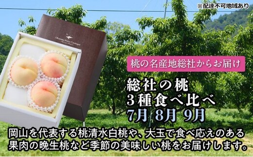 【2026年度発送】総社の桃 3種 食べ比べ 3回 お届け 定期便 （7月・8月・9月） もも モモ 岡山県産 国産 フルーツ 果物