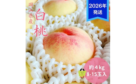 【2026年先行受付】 白桃 岡山 秀品 大玉 約4kg(8～15玉) 岡山県産 桃 もも モモ 御中元 ギフト 御礼 プレゼント 御礼 御祝 御供 果物 くだもの フルーツ