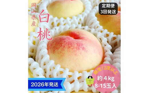 【2026年先行受付】 白桃 3回 定期便 特秀 ロイヤル 大玉 岡山県産 桃 もも モモ 御中元 ギフト 御礼 プレゼント 御礼 御祝 御供 果物 くだもの フルーツ
