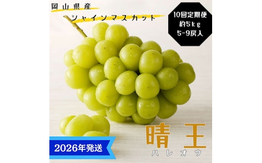 【2026年先行受付】 シャインマスカット 晴王 10回 定期便 秀品 大房 岡山県産 ぶどう ギフト 御礼 プレゼント 御礼 御祝 御供 果物 くだもの フルーツ