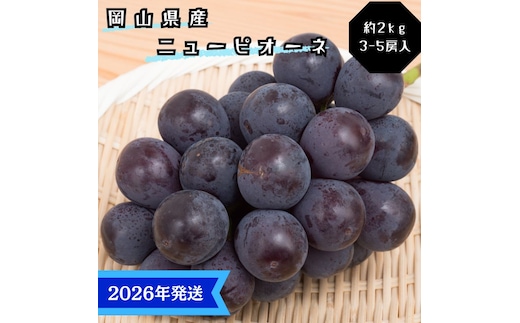 【2026年先行受付】 ぶどう ニューピオーネ 秀品 約2kg(3～5房) 岡山県産 ぶどう 葡萄 ブドウ ギフト 御礼 プレゼント 御礼 御祝 御供 果物 くだもの フルーツ
