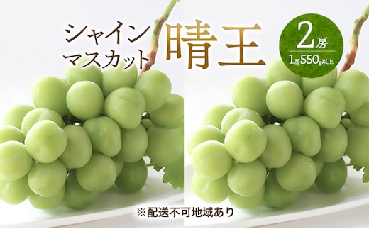 ぶどう 2026年 先行予約 シャイン マスカット 晴王 2房 （1房550g以上） マスカット ブドウ 葡萄 岡山県産 国産 フルーツ 果物 ギフト 桃茂実苑