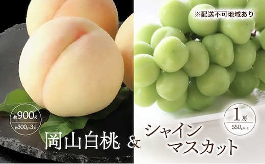 桃 ぶどう 2026年 先行予約 白桃 3玉 合計約900g （1玉約300g） シャインマスカット 晴王 1房 550g以上 もも 葡萄 詰合せ 岡山 国産 フルーツ 果物 ギフト 桃茂実苑
